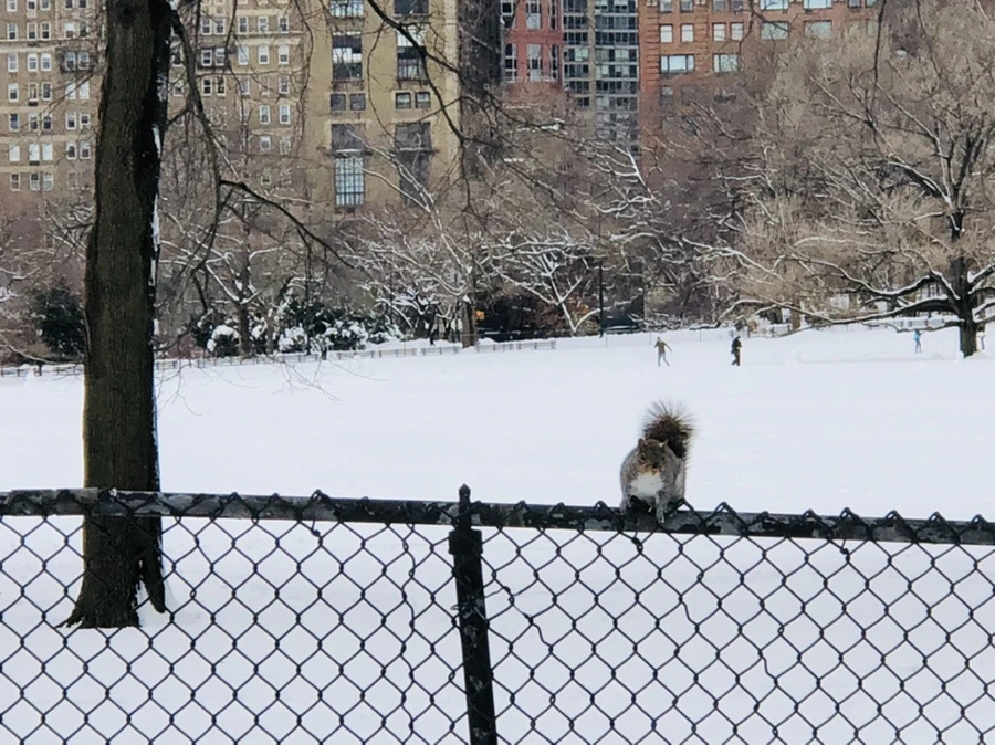 IMG_9239.jpg?type=w966