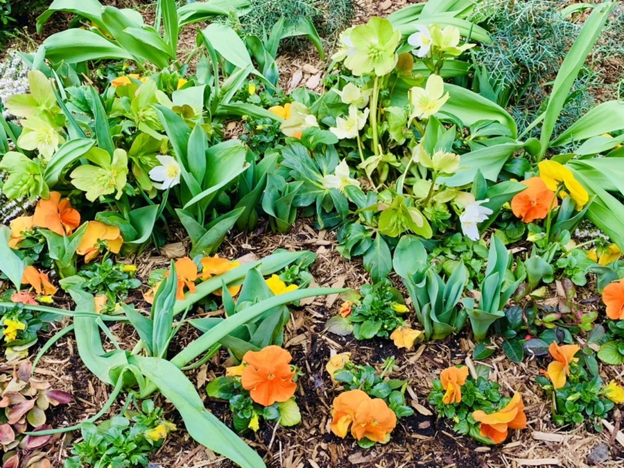 IMG_4673.jpg?type=w966