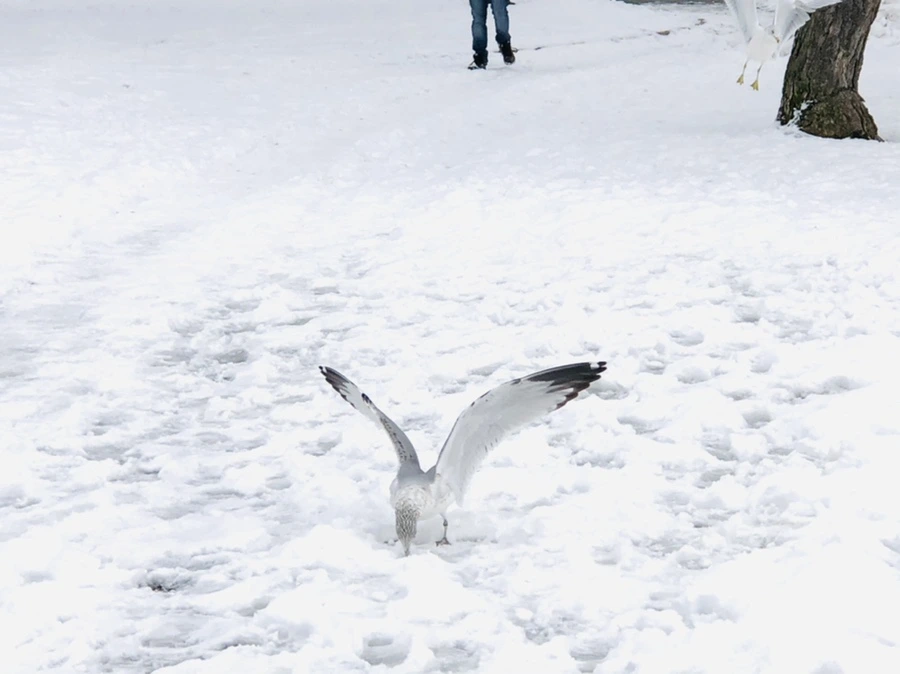 IMG_3828.jpg?type=w966