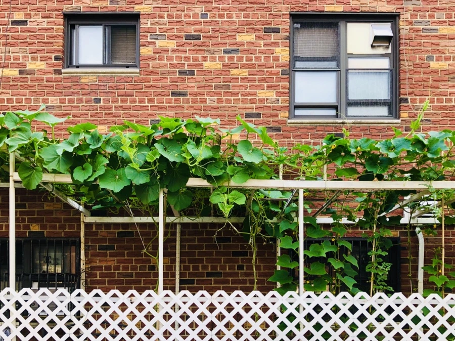 IMG_4229.jpg?type=w966