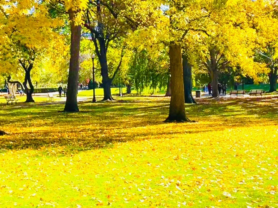 IMG_2538.jpg?type=w966