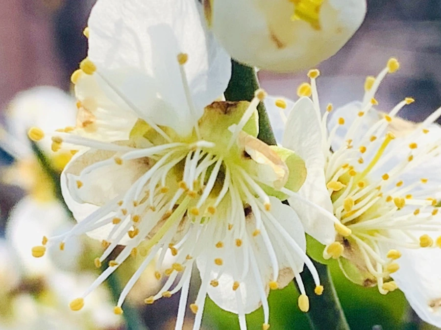 IMG_0252.jpg?type=w966