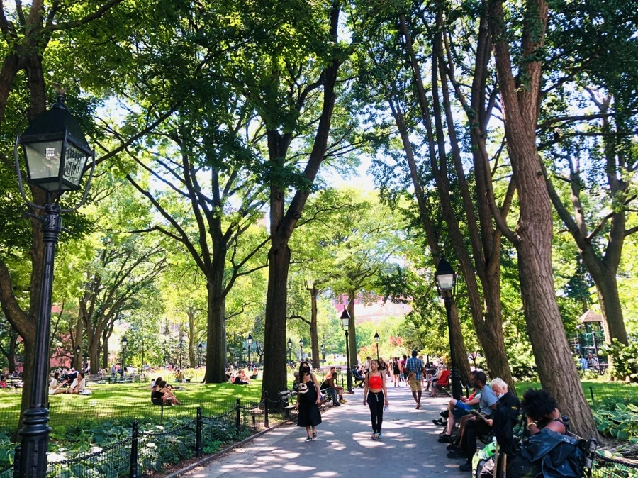 IMG_5443.jpg?type=w966