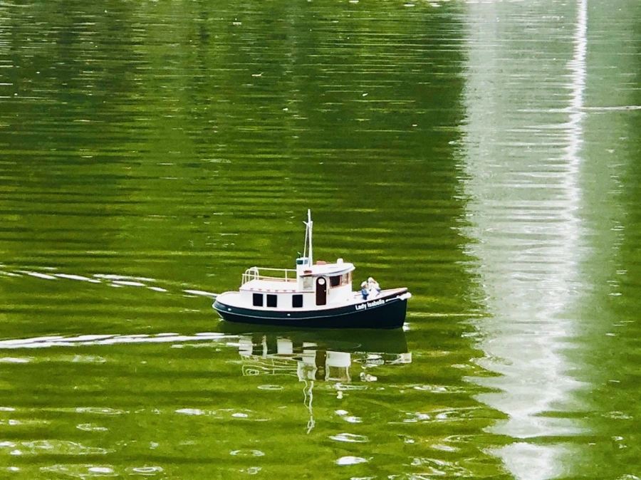 IMG_1105.jpg?type=w966