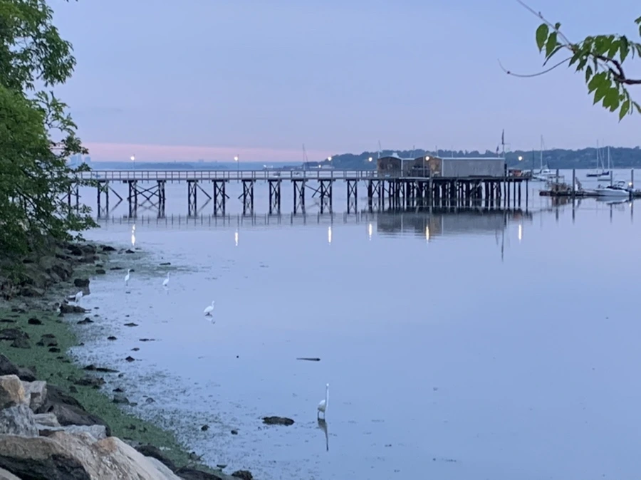 IMG_6258.jpg?type=w966