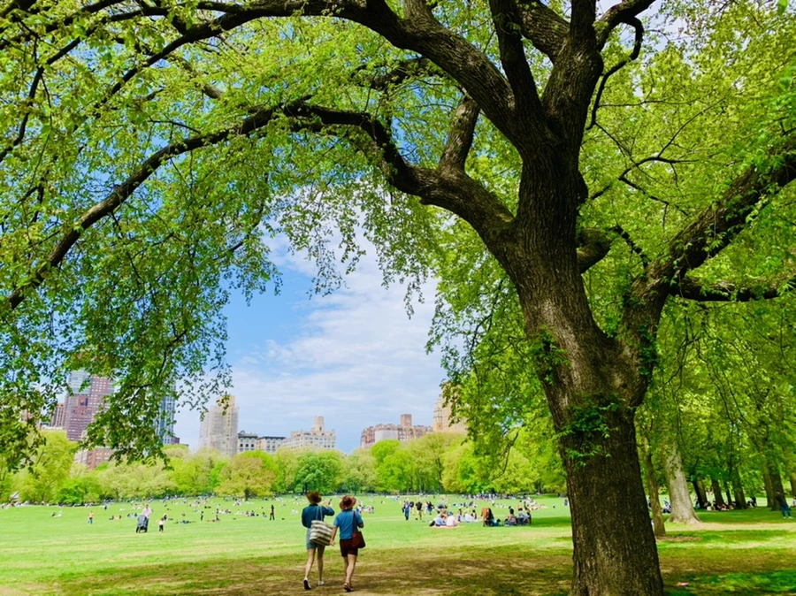 IMG_8781.jpg?type=w966