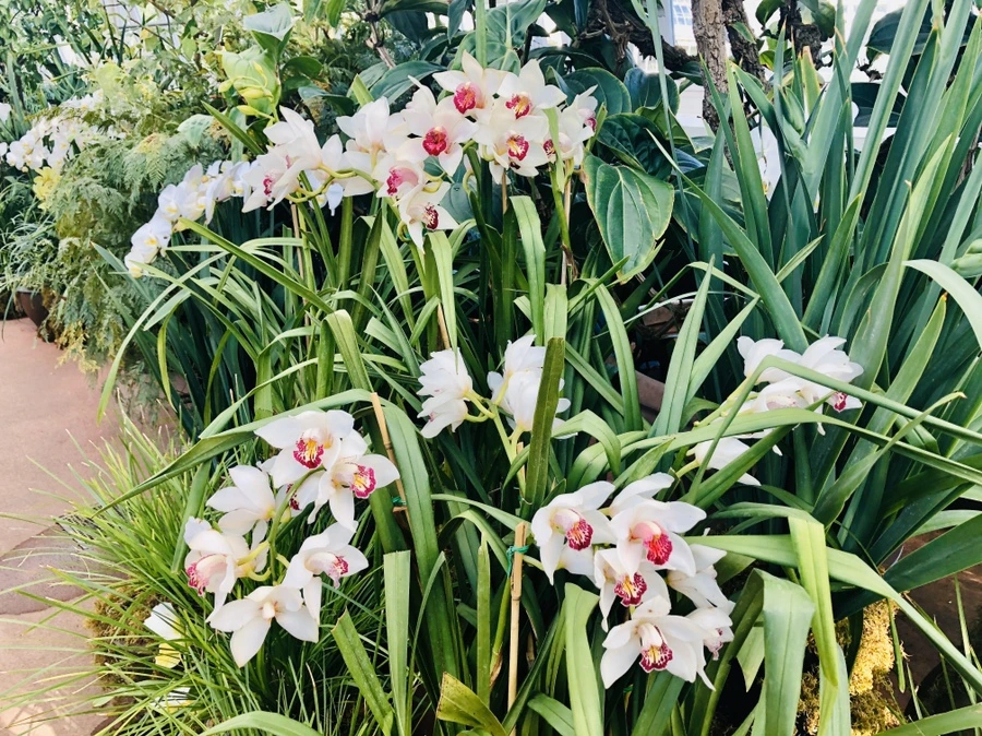 IMG_6237.jpg?type=w966