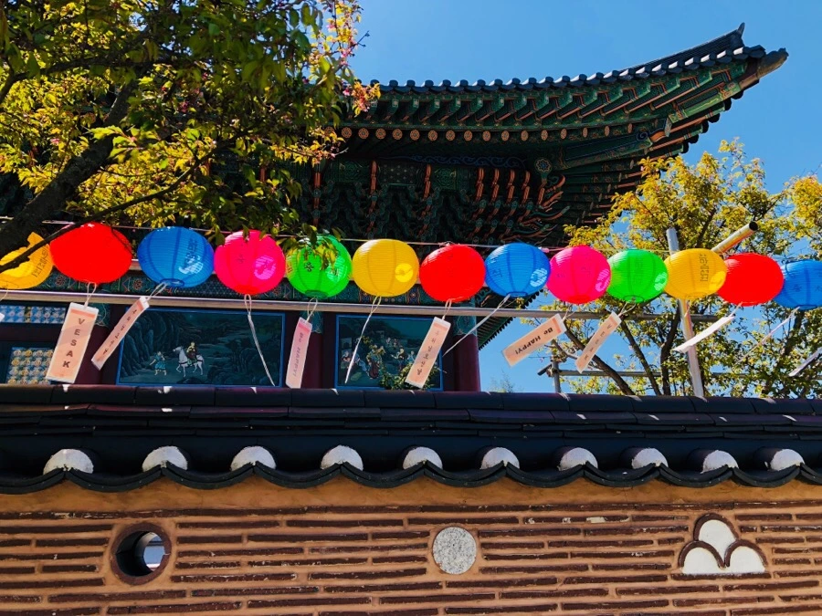 IMG_5250.jpg?type=w966