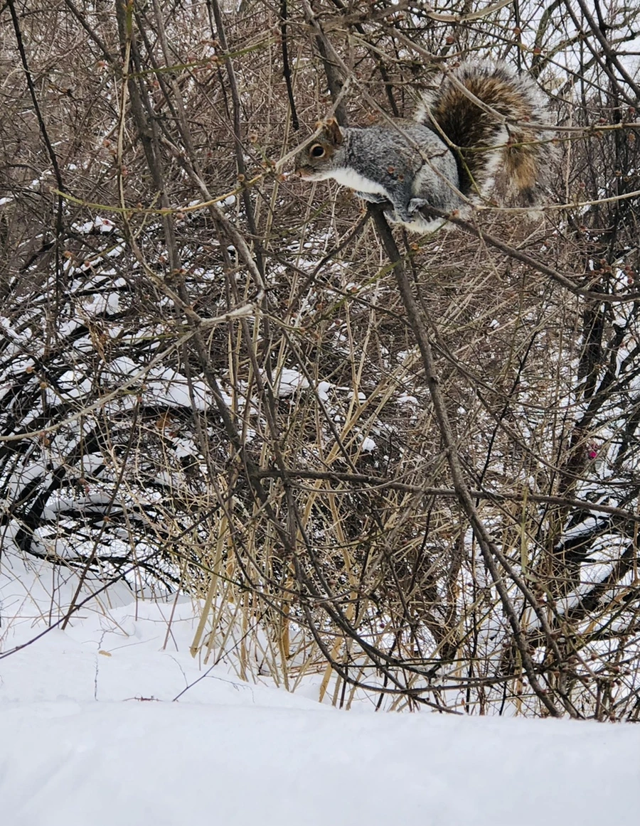 IMG_9575.jpg?type=w966