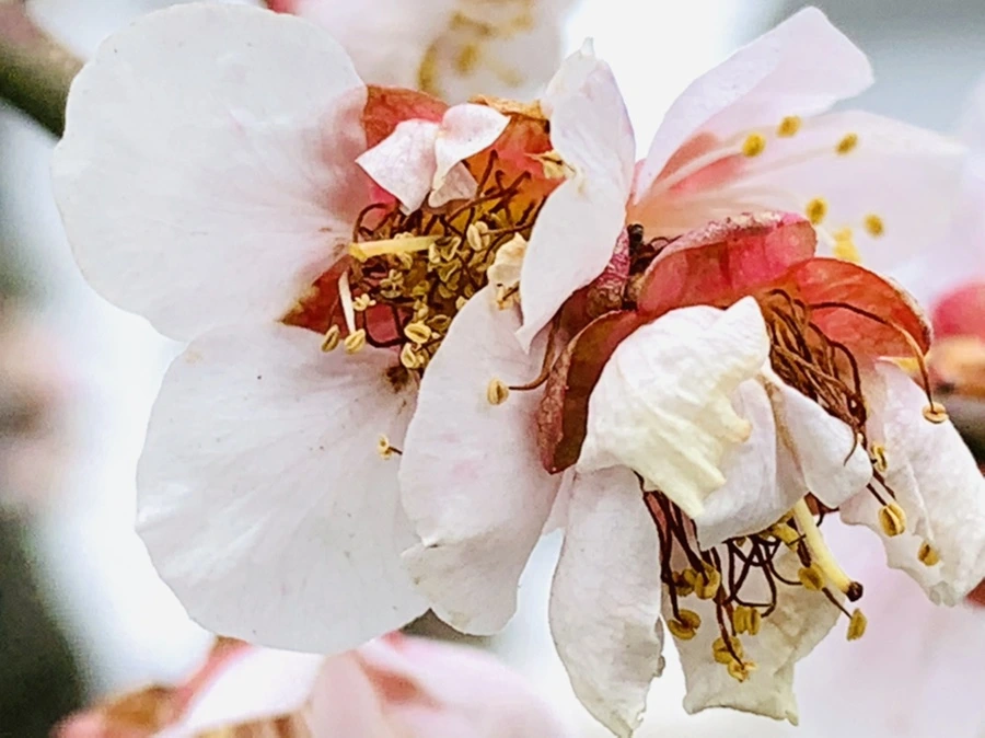 IMG_3638.jpg?type=w966