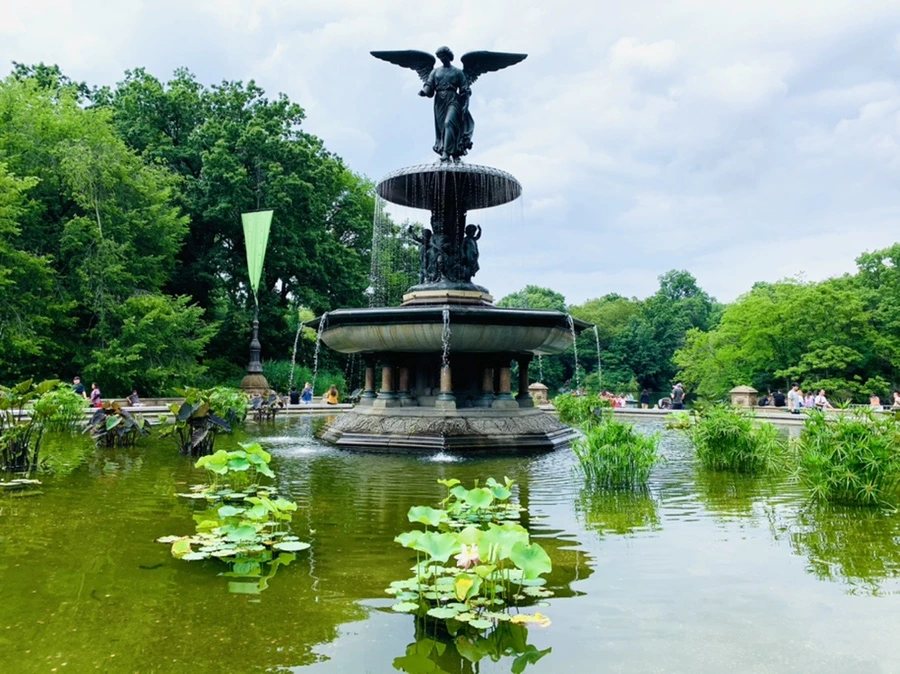 IMG_9882.jpg?type=w966