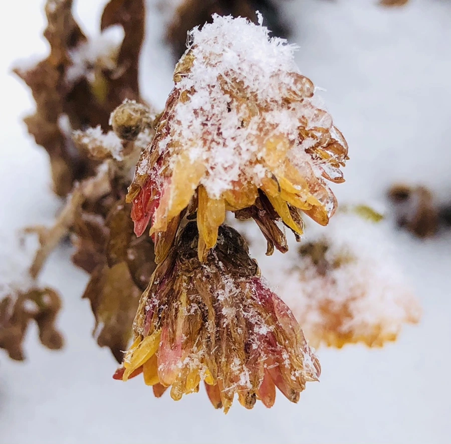 IMG_3444.jpg?type=w966