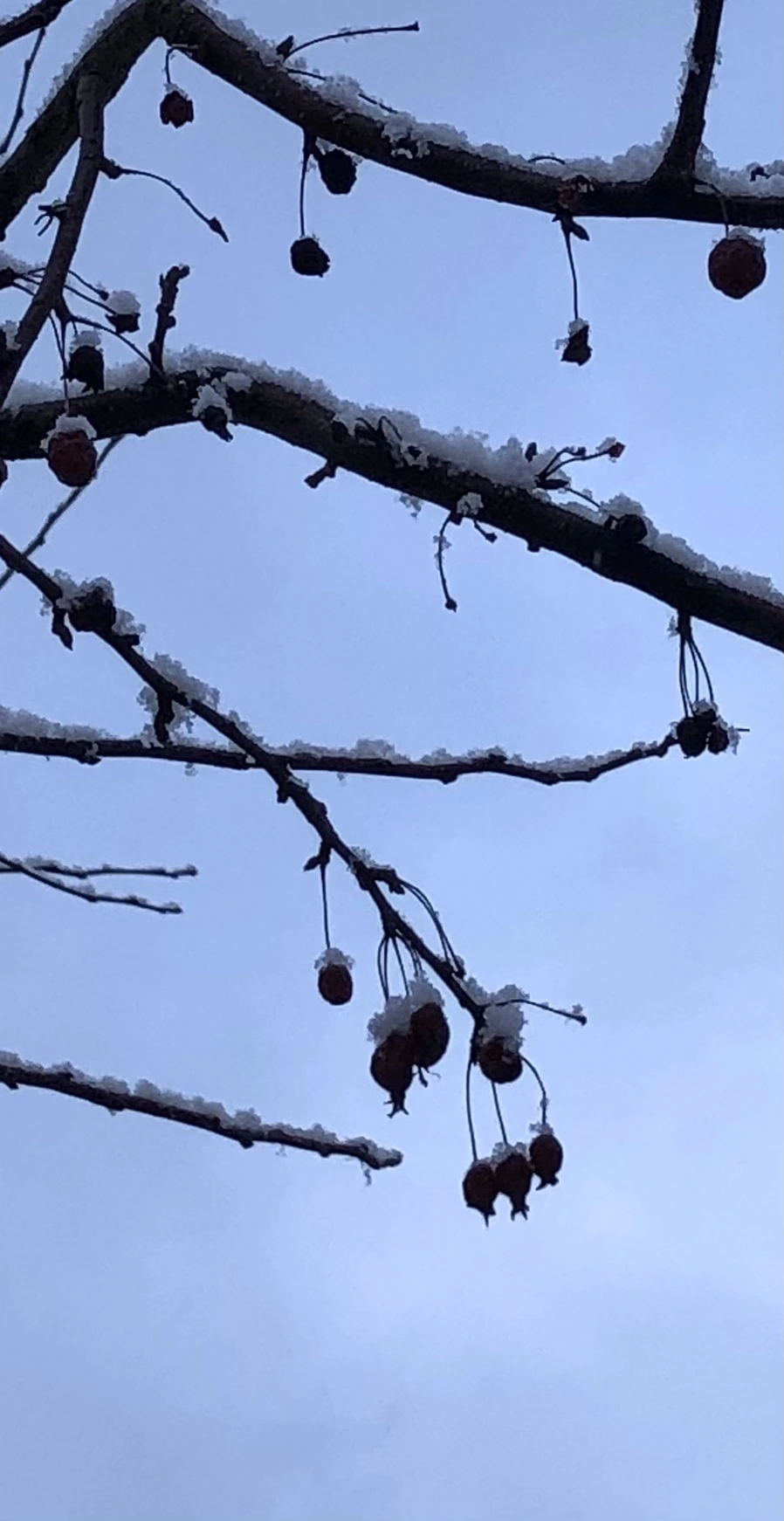 IMG_4454.jpg?type=w966