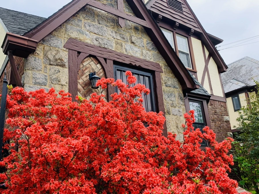 IMG_9553.jpg?type=w966