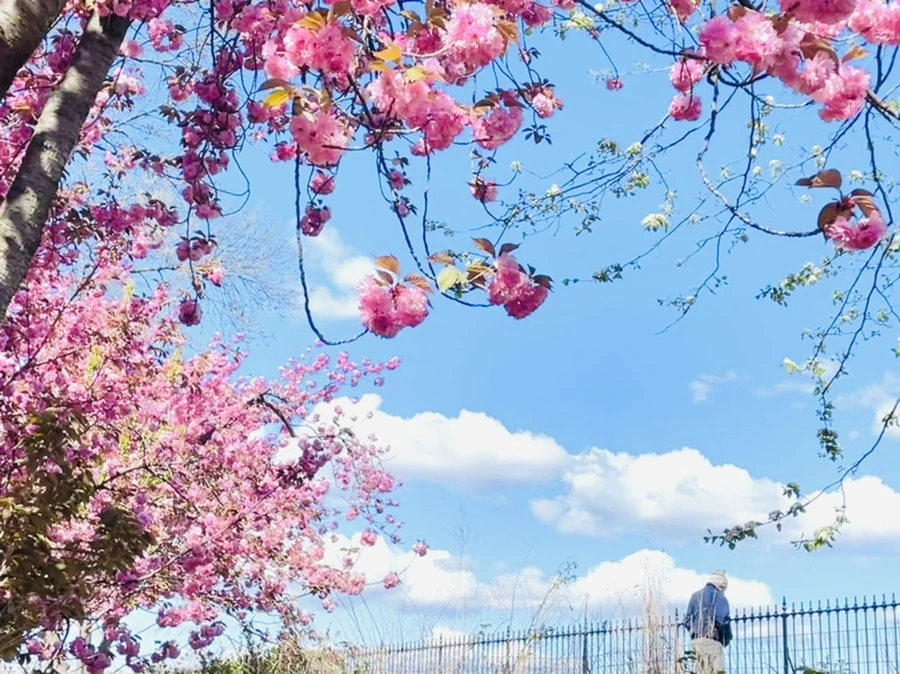 IMG_2679.jpg?type=w966