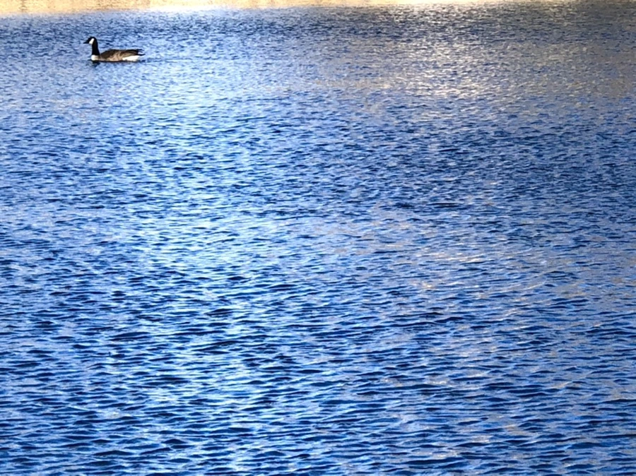 IMG_3820.jpg?type=w966