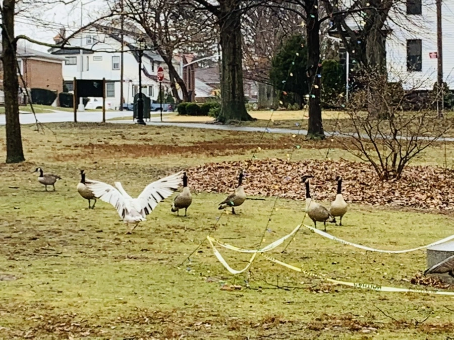 IMG_2048.jpg?type=w966