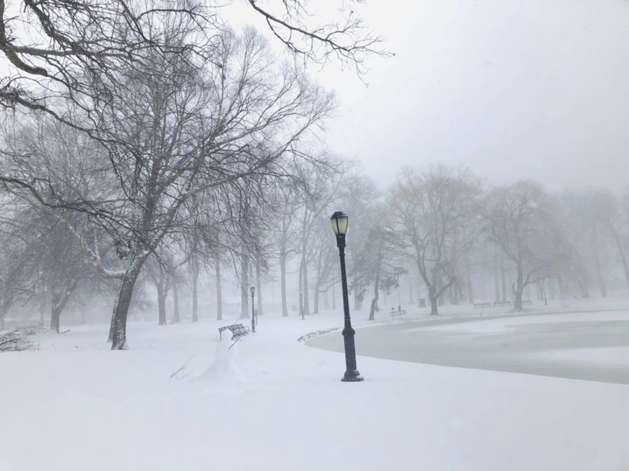 IMG_8838.jpg?type=w966