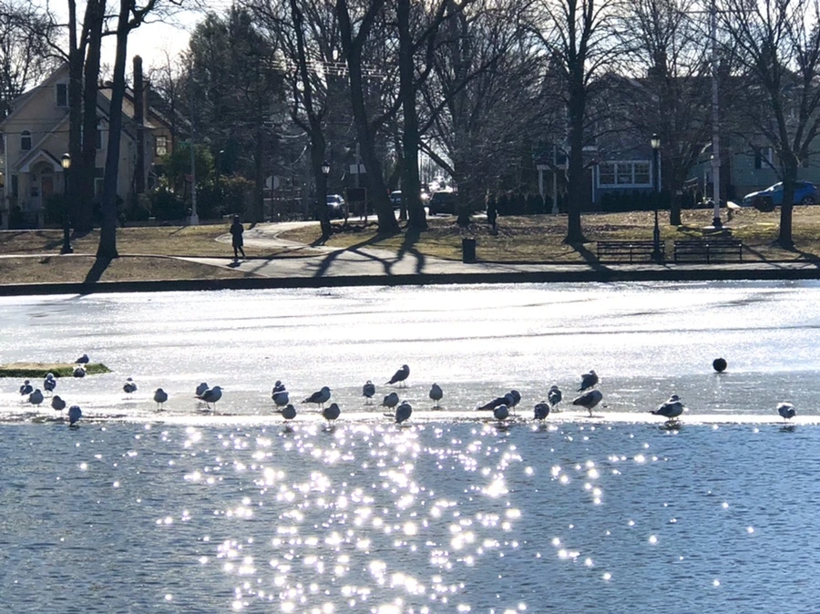 IMG_6787.jpg?type=w966