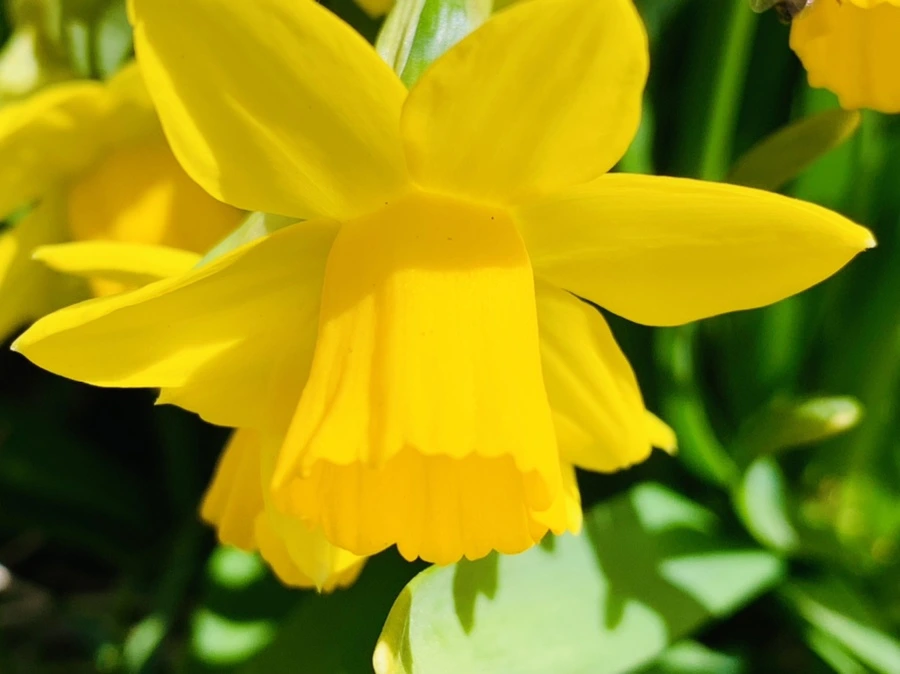 IMG_3263.jpg?type=w966