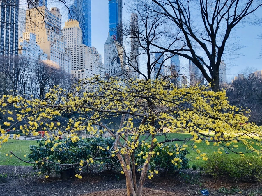 IMG_6381.jpg?type=w966