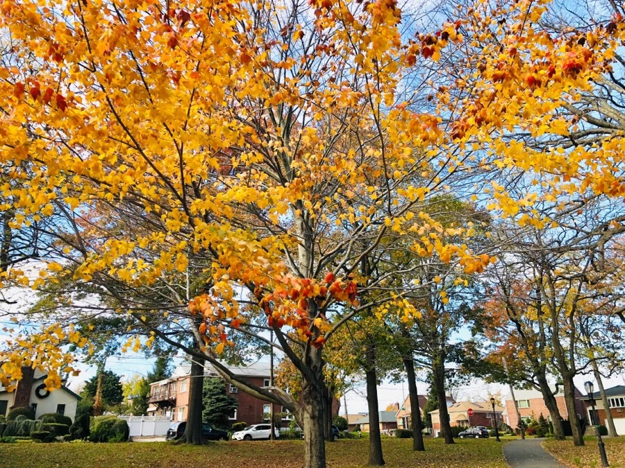 IMG_7496.jpg?type=w966