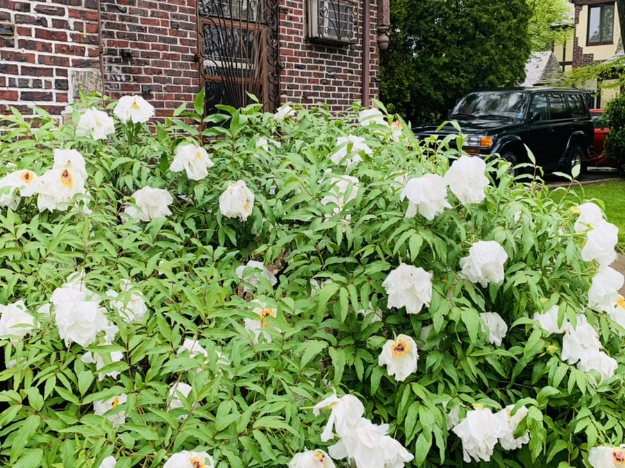 IMG_9322.jpg?type=w966