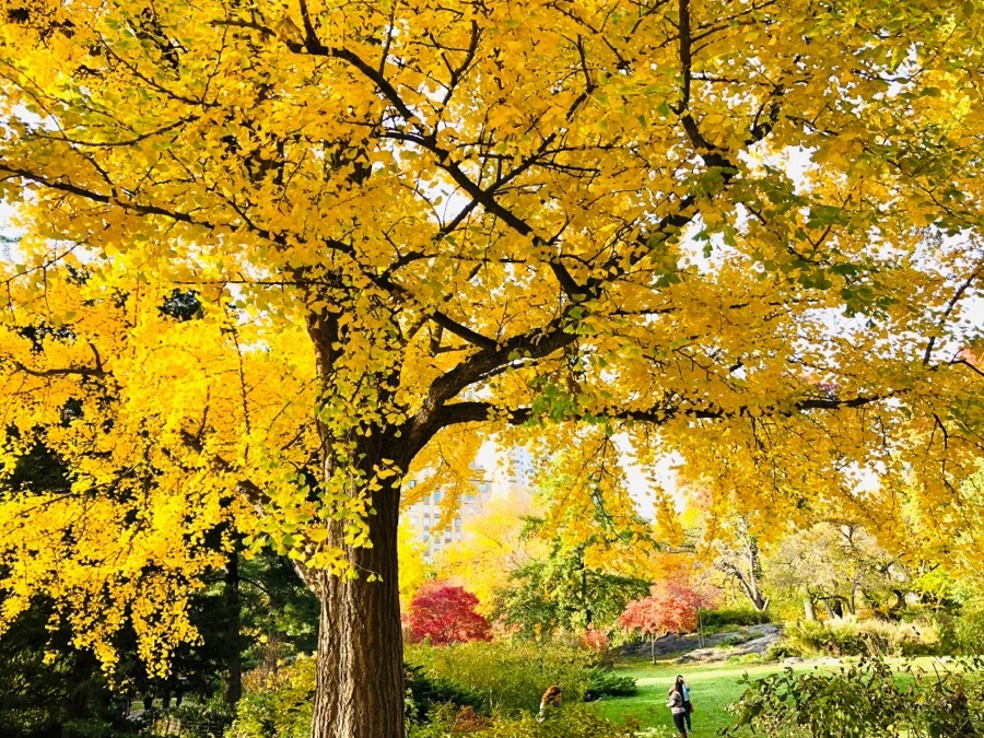 IMG_7544.jpg?type=w966