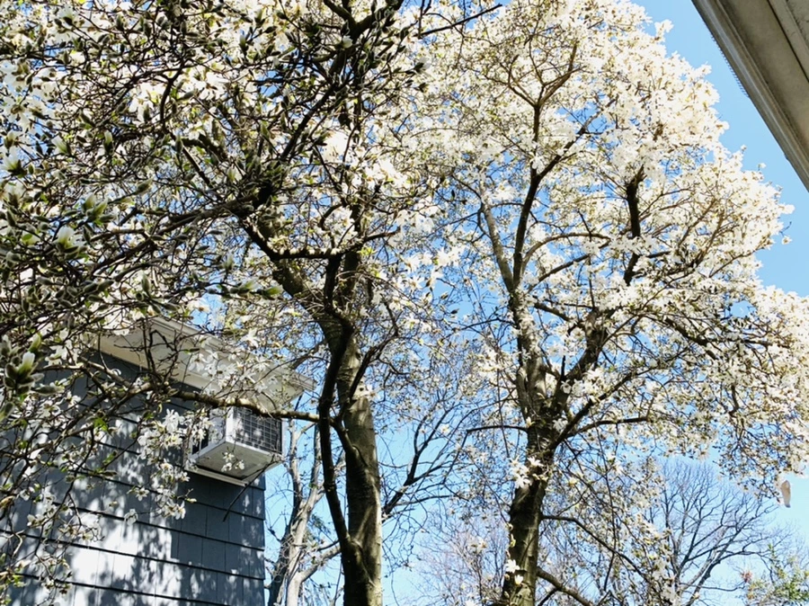 IMG_7660.jpg?type=w966