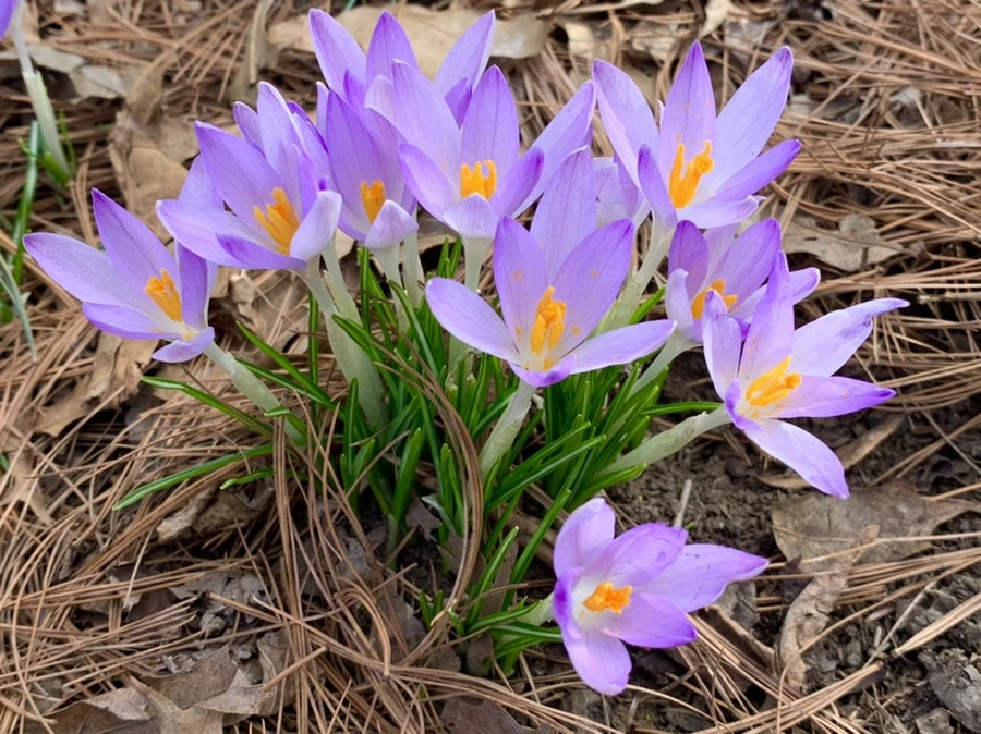 IMG_0441.jpg?type=w966