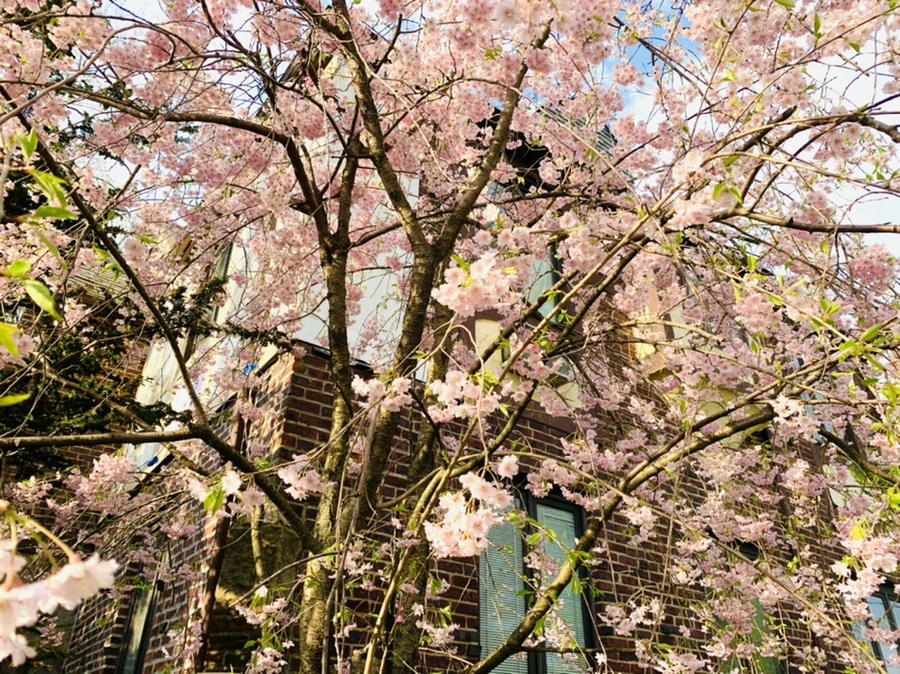 IMG_3810.jpg?type=w966