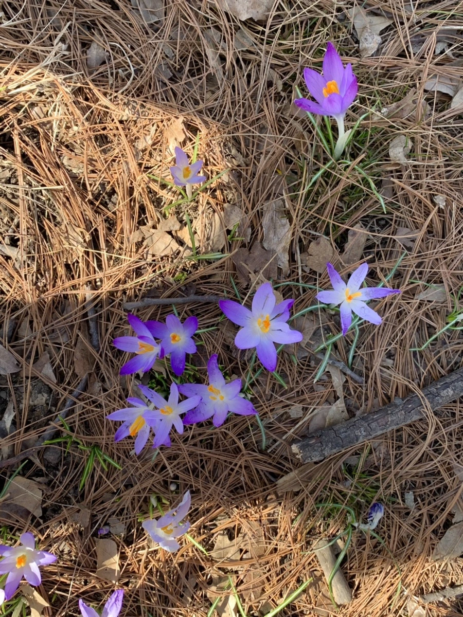 IMG_9674.jpg?type=w966