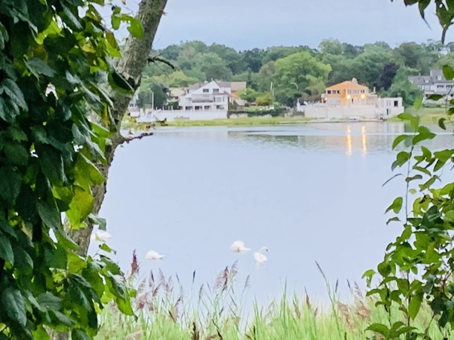 IMG_6169.jpg?type=w966