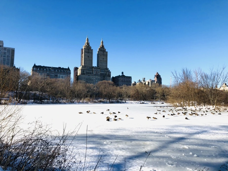 IMG_9792.jpg?type=w966