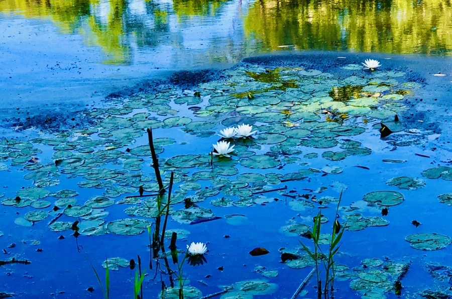 IMG_2220.jpg?type=w966