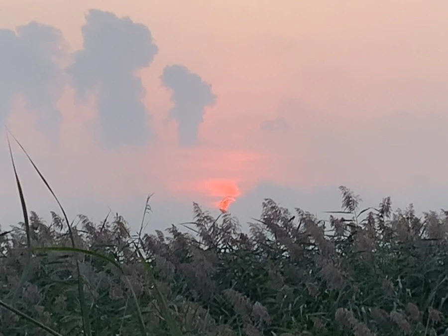 IMG_1063.jpg?type=w966