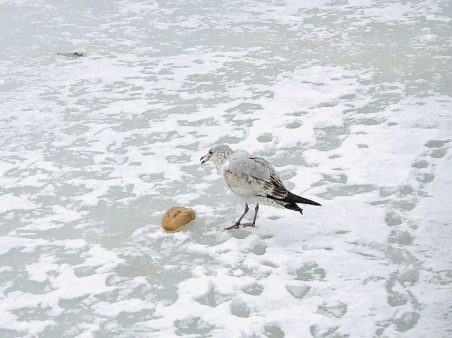 IMG_3796.jpg?type=w966