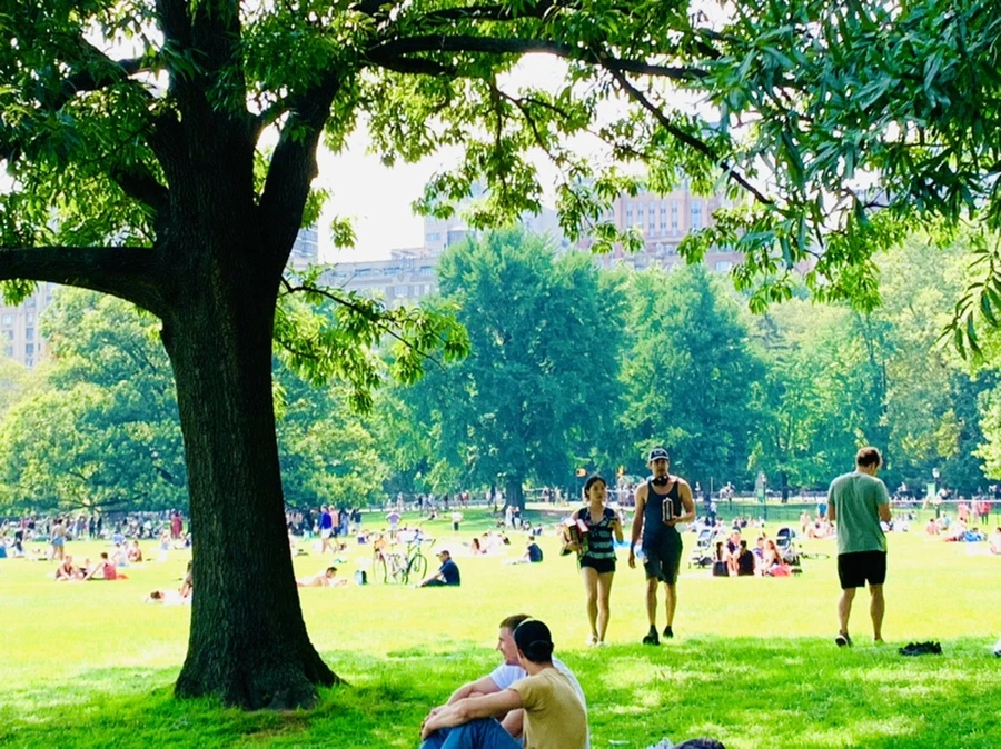 IMG_0604.jpg?type=w966