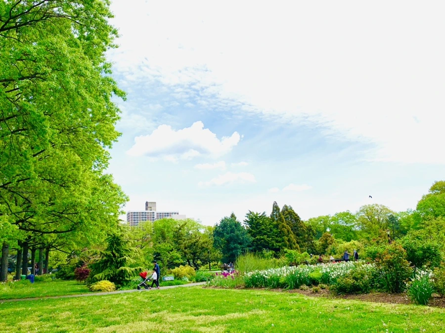 IMG_1272.jpg?type=w966