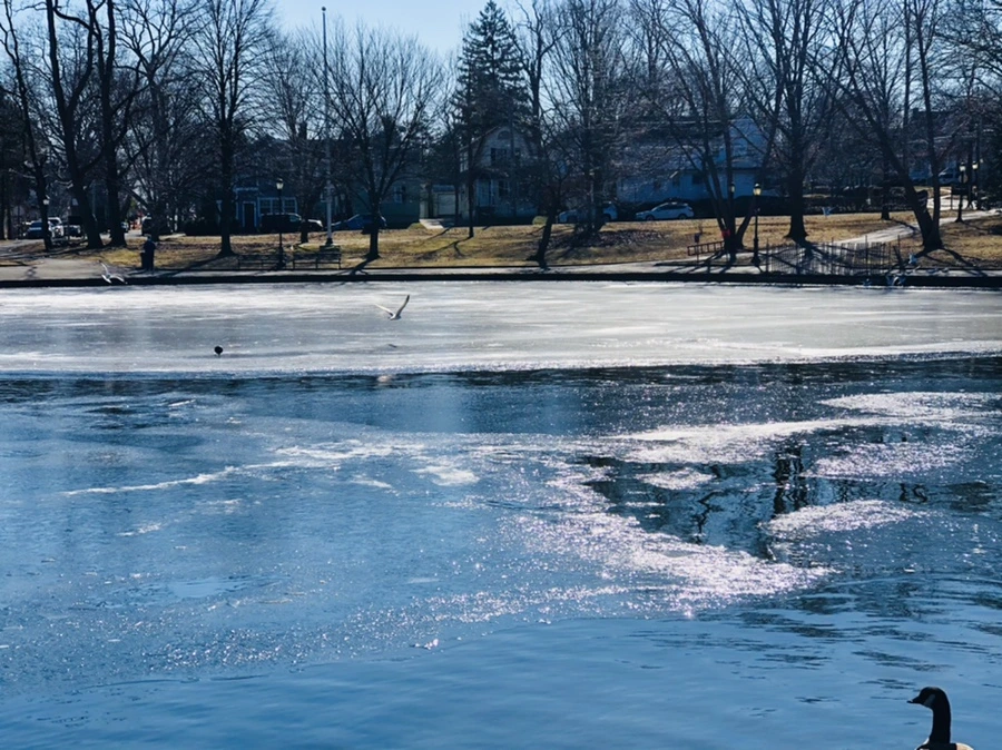 IMG_7835.jpg?type=w966