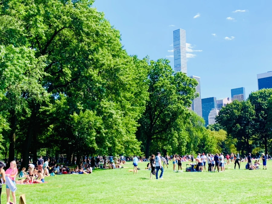 IMG_4381.jpg?type=w966