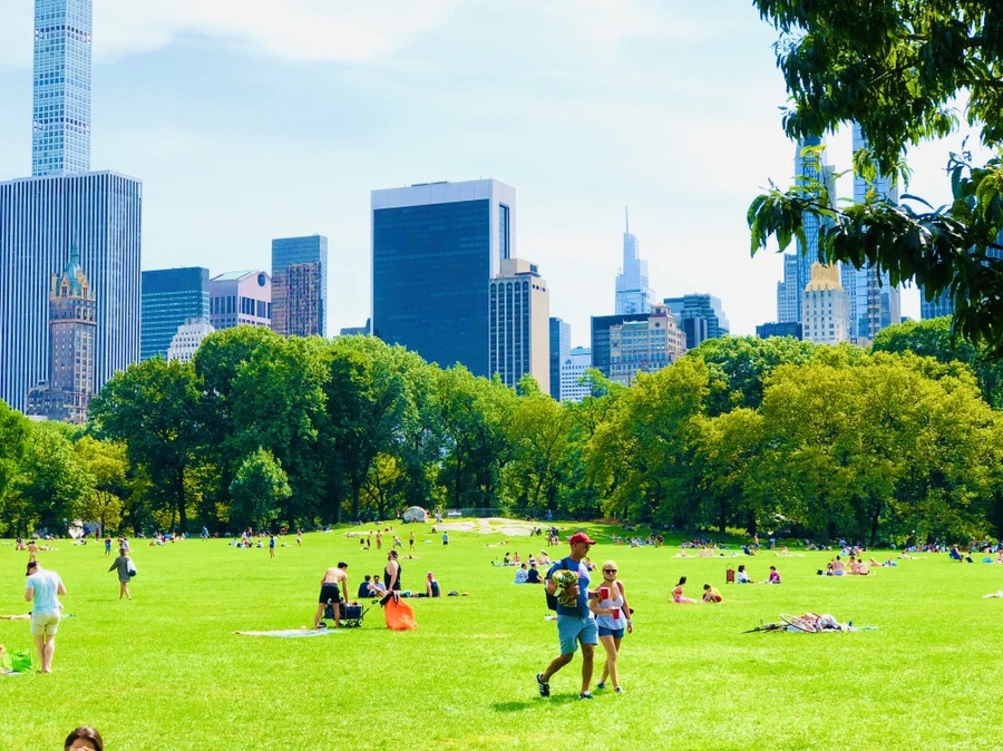 IMG_9510.jpg?type=w966