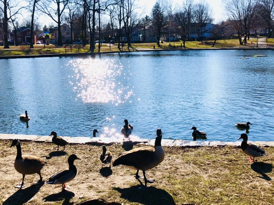 IMG_0235.jpg?type=w966