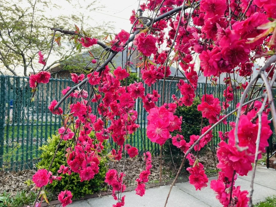 IMG_2400.jpg?type=w966