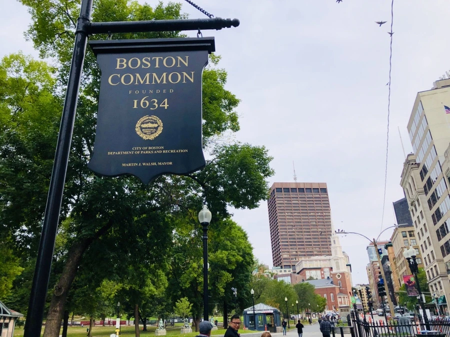 IMG_0534.jpg?type=w966