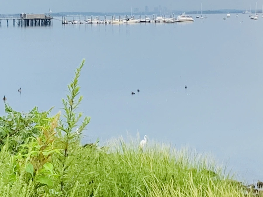 IMG_0595.jpg?type=w966