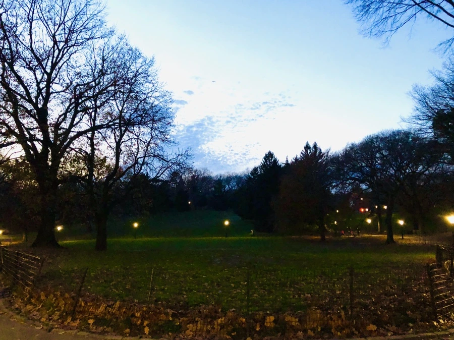 IMG_5404.jpg?type=w966