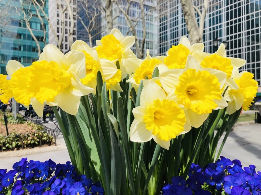 IMG_2532.jpg?type=w966