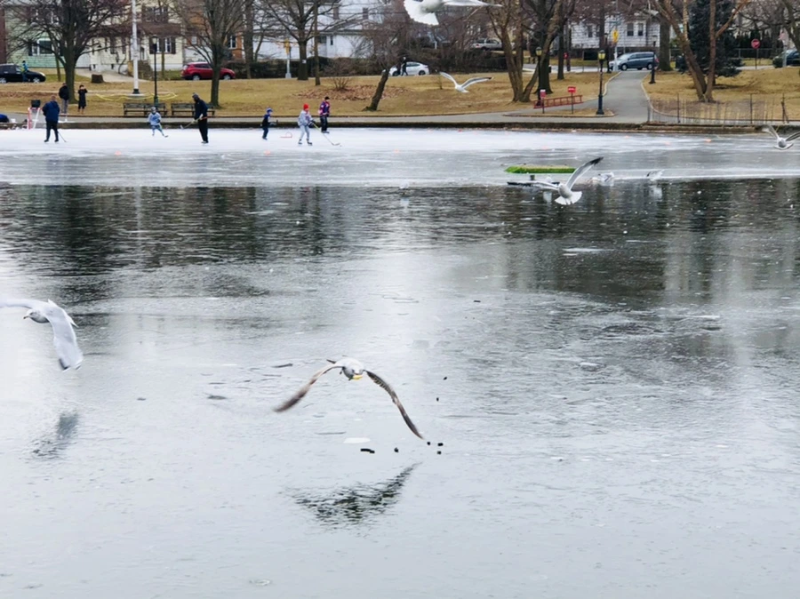 IMG_8738.jpg?type=w966