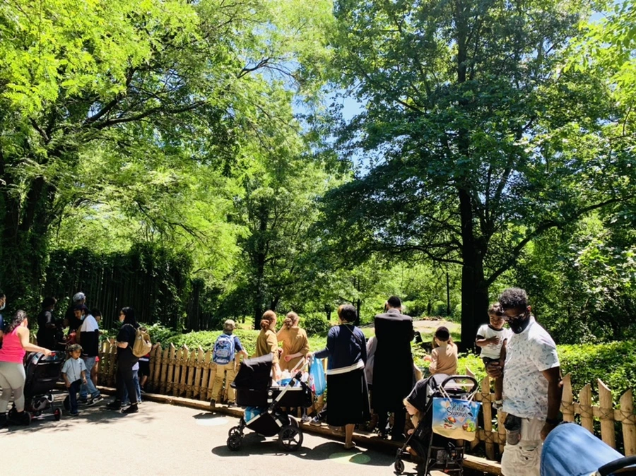 IMG_4196.jpg?type=w966